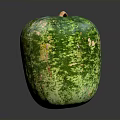 Fresh Green Yellow Spotted Melon with Brown Stem on Black Surface