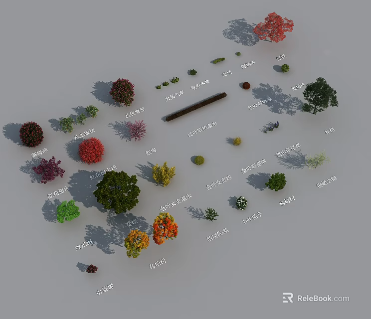 Various Plants with Different Types Colors Trees Shrubs and Small Greenery on Gray Background 3d model 