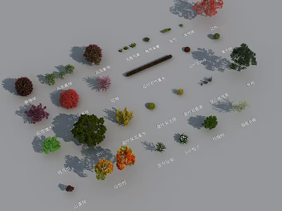 Various Plants with Different Types Colors Trees Shrubs and Small Greenery on Gray Background 3d model