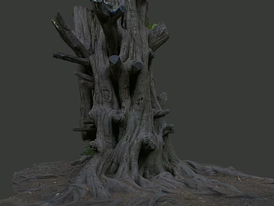 Ancient Tree with Thick Trunk Exposed Roots and Rough Bark Texture 3d model