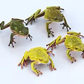 Vibrant Four Green And Yellow Aquatic Frogs With Detailed Body And Legs On White Background