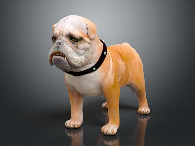 Realistic Orange and White Bulldog with Black Collar Standing on Gray Background 3d model