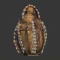 Artisanal Decorative Household Item With Brown And White Shell Decorations And Woven Texture Design
