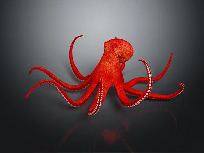 Shiny Red Octopus With Spread Out Tentacles And White Suckers On Dark Background 3d model