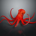 Shiny Red Octopus With Spread Out Tentacles And White Suckers On Dark Background