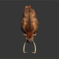 Realistic Brown Mammoth Model With Thick Fur And Long Curved Tusks