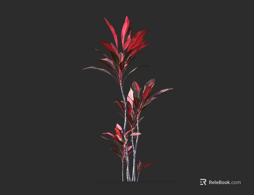 Red Leaf Shrub with Vibrant Red Foliage and Multiple Upright Stems 3d model