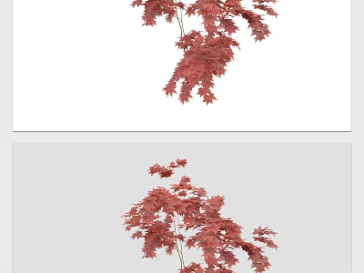 Vibrant Red Foliage Plant With Lush Leaves And Natural Branches 3d model