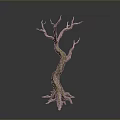 Ornamental Dried Tree Decor With Twisted Trunk Bare Branches And Exposed Roots