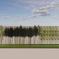 Row of Tall Trees With Various Species Against Light Colored Wall And Grass Paved Ground