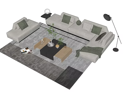 Modern Sofa Coffee Table Set With Gray Rug Pillows Plants And Floor Lamp 3d model