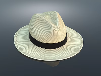 Light Beige Wide Brimmed Straw Hat With Black Ribbon Band Design 3d model
