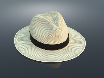 Hat Casual Hat Top Hat Tyrol Hat Felt Hat Bucket Hat Basin Hat Fisherman Hat 3d model