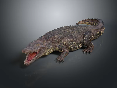 Reptile Crocodile With Open Mouth And Scaly Body On Grey Reflective Background 3d model