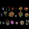 Colorful Potted Plants And Various Flowers In Different Pots On Gray Background