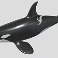 Realistic Black And White Orca Marine Animal Toy Model Figure