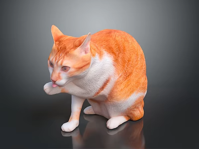 Orange and white cat sitting on shiny surface licking its paw in gray background 3d model