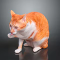 Orange and white cat sitting on shiny surface licking its paw in gray background