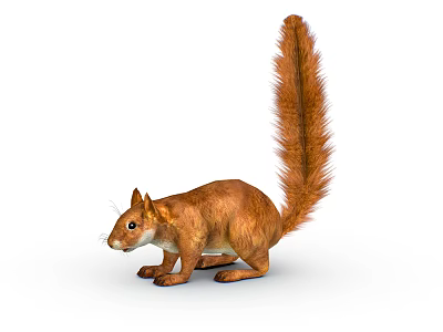 Modern Squirrel Cartoon Squirrel Red Squirrel 3d model Modern Squirrel Cartoon Squirrel Red Squirrel 3d model