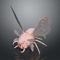Alien Insects Sci-Fi Insects Magic Insects Strange Insects Fantasy Insects Insect Characters Game Characters 3d model