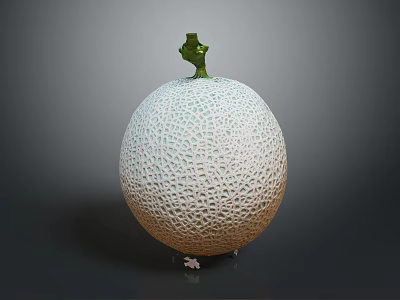 Fresh Whole Cantaloupe Melon With Netted Surface And Green Stem On Dark Background 3d model