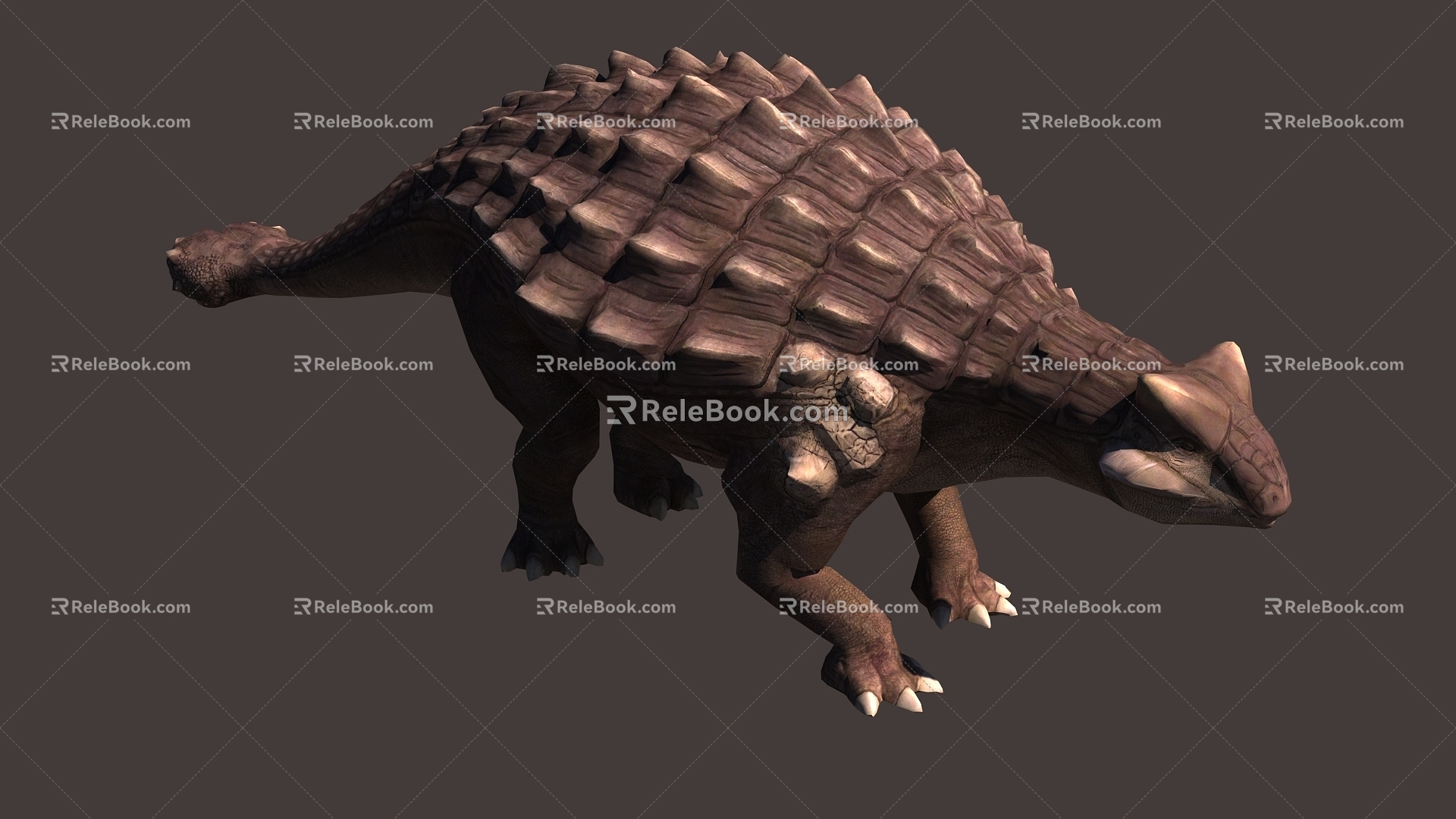 Sub-era Anthylosaurus Dinosaur with Binding Action Animation 3d model