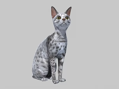 The Modern Cat 3d model