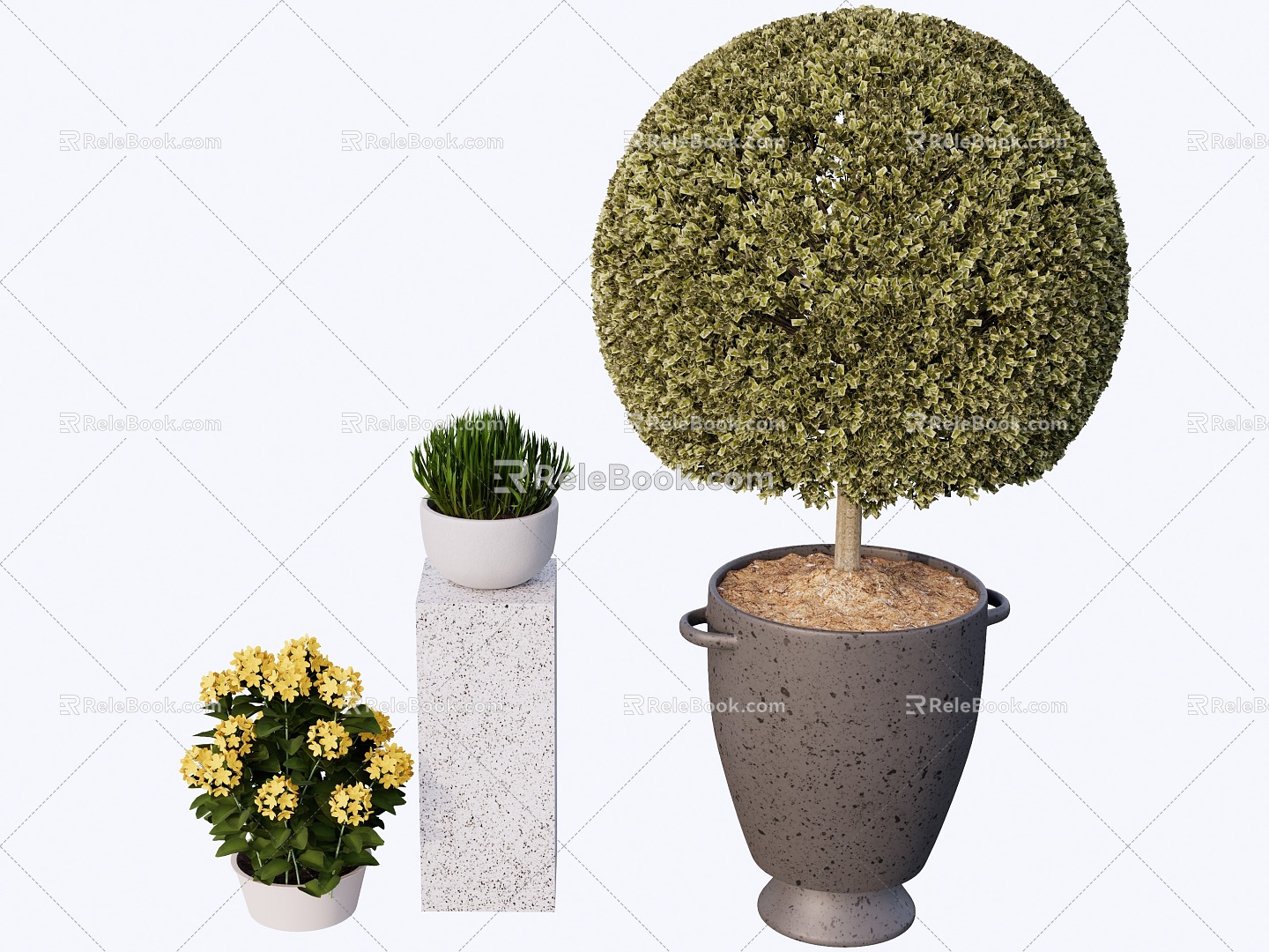 indoor potted plant 3d model