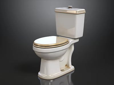Elegant Modern White Toilet With Gold Accents And Ceramic Construction Design 3d model