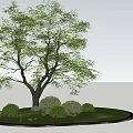Lush Green Arbor in Circular Lawn with Surrounding Bushes and Grass