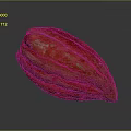 Fresh Ripe Red Cocoa Pod With Textured Skin On Gray Reflective Surface