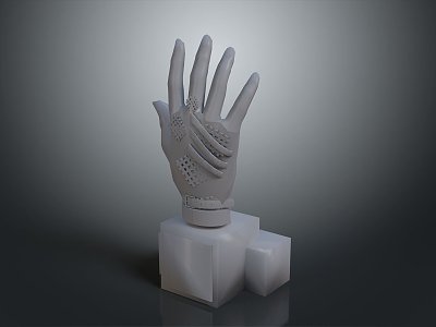 Hand Medical Teaching Aware Medical Supplies Medical Teaching Aware Medical Display model