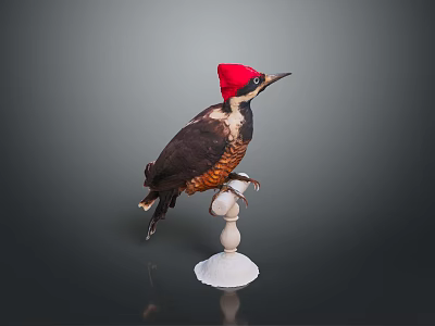 Dark Feathered Flying Animal Bird With Red Hat Perched On White Stand 3d model