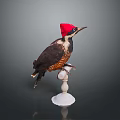 Dark Feathered Flying Animal Bird With Red Hat Perched On White Stand