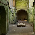 Abandoned Stone Chamber Featuring Green Mossy Walls Archways Ladder And Stone Coffin