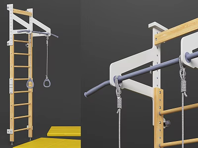Durable Home Gym Sports Equipment Featuring Wooden Ladder Metal Bars And Hanging Rings 3d model