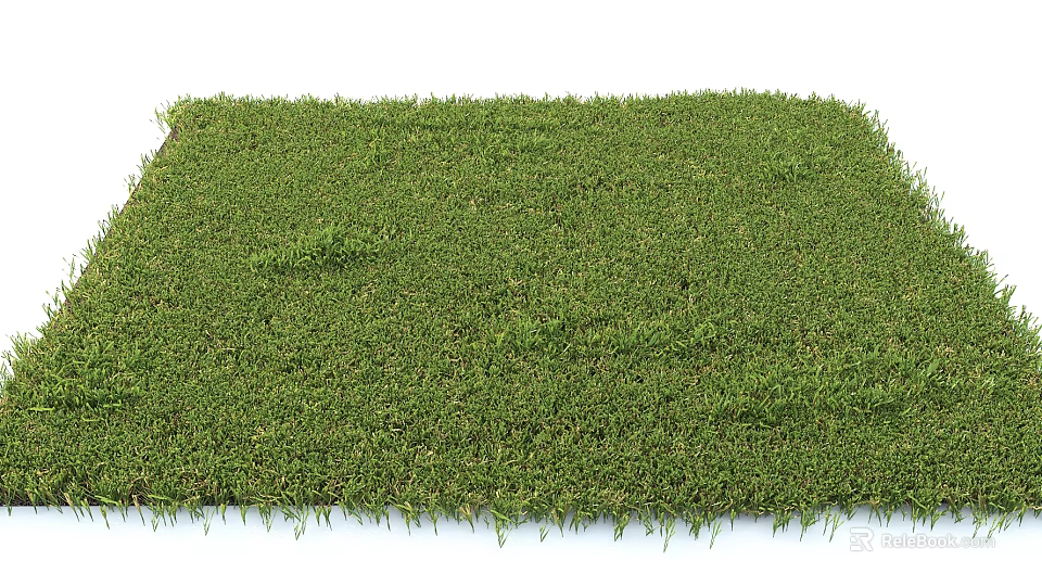 Lush Green Grass Lawn With Fresh Verdant Texture And Smooth Surface 3d model