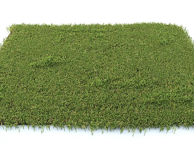 Lush Green Grass Lawn With Fresh Verdant Texture And Smooth Surface 3d model