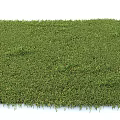 Lush Green Grass Lawn With Fresh Verdant Texture And Smooth Surface 3d model