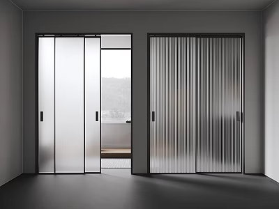 Modern Interior Sliding Doors Design With Frosted Glass And Sleek Metal Frames 3d model