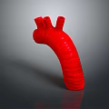 Organ System Red Tubular Structure 3D Rendered Model on Dark Background 3d model