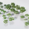 Green Trees Collection With Various Sizes And Different Shapes On Light Colored Background 3d model