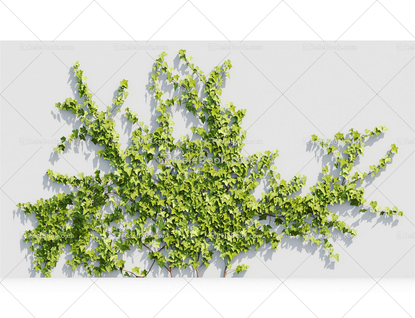 Modern Vine Vine Plant 3d model