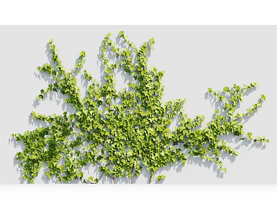 Lush Green Vine With Dense Leaves And Climbing Growth On Gray Background 3d model