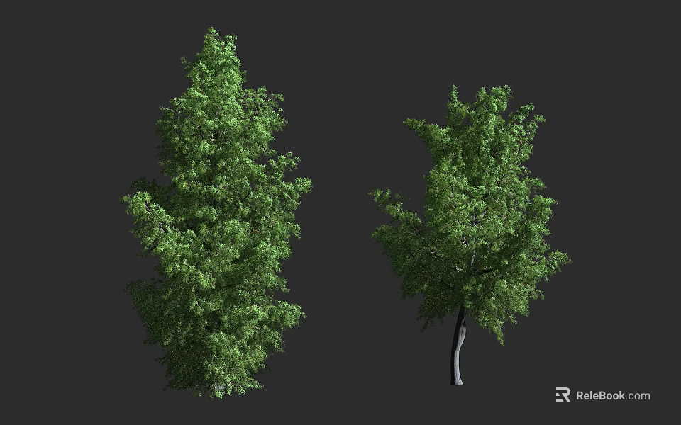 Tall Green Leafy Trees With Dense Foliage And Strong Trunks 3d model 