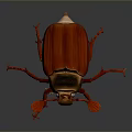 Red And Brown Beetle With Red Legs And Antennae On Gray Background