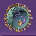 Medical Devices For Viral Research With 3D Model Structure Visualization And Analysis 3d model