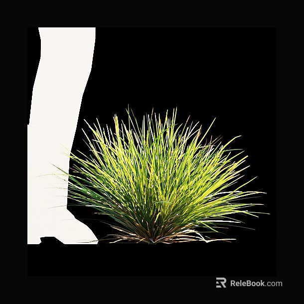 Lush Green Grass with Vibrant Blades Growing Beside White Leg Silhouette on Black Background 3d model 