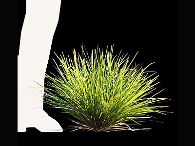 Lush Green Grass with Vibrant Blades Growing Beside White Leg Silhouette on Black Background 3d model