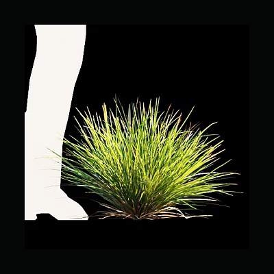 Lush Green Grass with Vibrant Blades Growing Beside White Leg Silhouette on Black Background 3d model